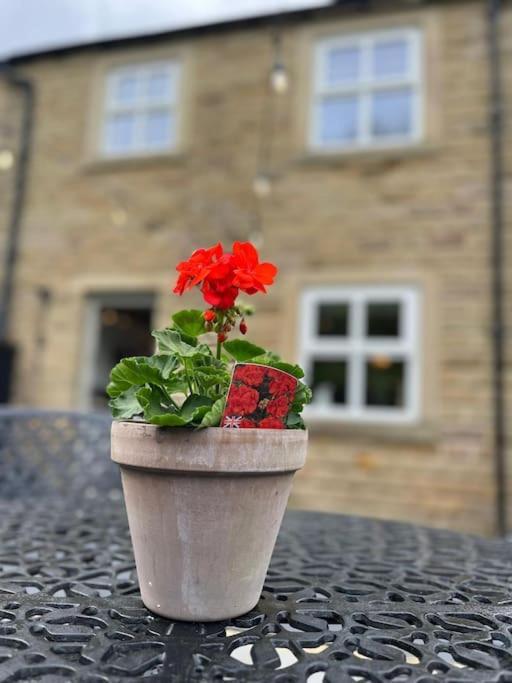 מטלוק Olive Holiday Cottage Matlock מראה חיצוני תמונה